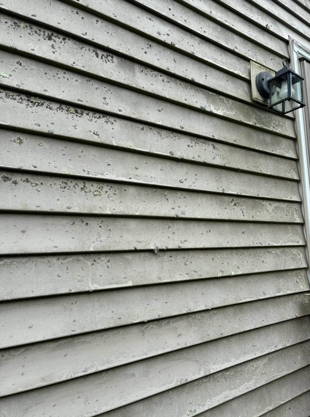 Before Lichen Removal from Vinyl Siding in Worcester County, MA — Pro Pressure Washing