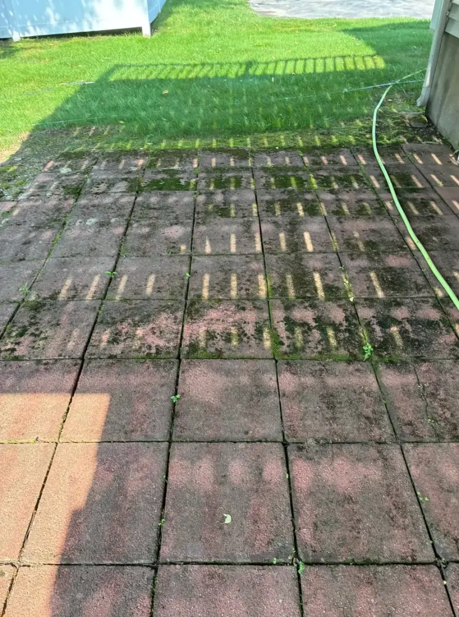 Before Moss Removal from a Brick Paver Patio in Worcester County, MA — Pro Pressure Washing